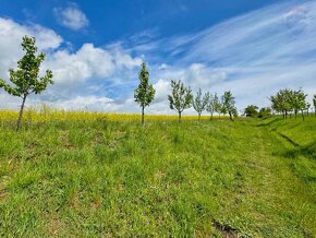 Investičný pozemok 27.279 m2 možnosť zástavby, dosah sietí a - 14