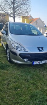 Peugott 307 1.6 benzin - 14