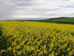 PREDAJ - Rodinný dom v Bardoňove - v kľudnej lokalite a krás - 14