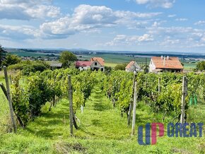 Vinohradnícky dom v obci Prietržka,okr.Skalica - 14