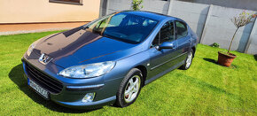 Predam Peugeot 407 - 14