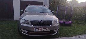 MRACITKA NA SVETLA SKODA OCTAVIA 3 - mracitka OIII pred FL - 14