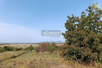 HALO reality - REZERVOVANÉ - Predaj, rodinný dom Streda nad  - 14