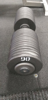 Profi jednoruční činky 2,5-100kg - 14