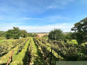 Viničný domček s vinohradom nad malebnou dedinkou Michal n - 14