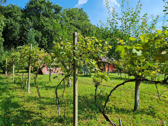 Selce – záhradná chatka v záhradkárskej osade - 14