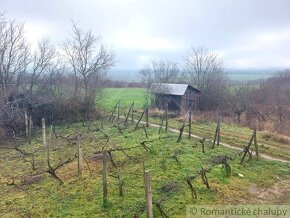 Dvojposchodová chatka s vinohradom na viničnom vŕšku v ded - 14