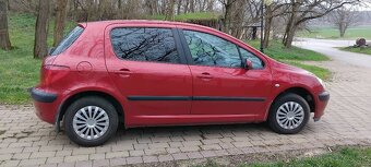 Peugeot 307 - 15