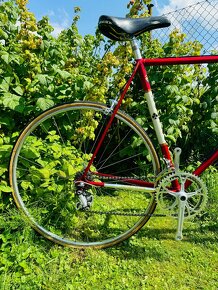 Colnago Mexico - 15