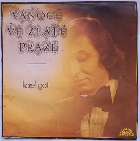 VIANOCNE LP PLATNE - 15