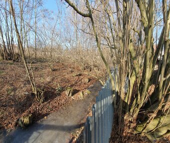 Slnečný dom s hospodárstvom 43km od mesta Košice - 15