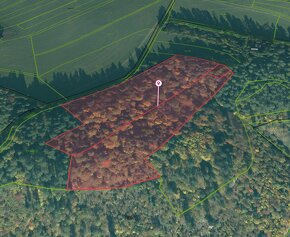 Spišská Nová Ves 23.059 m2 – LES 1/1 vo výlučnom vlastníctve - 15