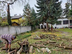 Komplexné záhradnícke služby - 15