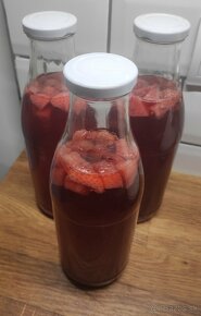 Kombucha - Scoby - Čajova huba - 15