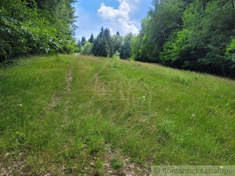 Väčší pozemok v horách nad Lazmi pod Makytou - Čertov - 15