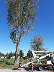Rizikové orezavanie a pilenie stromov - 15