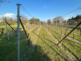 Na predaj MEŠTIANSKY DOM aj PREDAJŇA na pozemku  4349 m2 . - 15