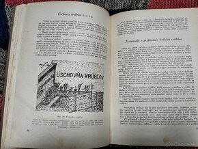 Štepenie a zakoreňovanie ovocných stromov--1954-–Štefan Chle - 15