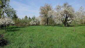 Hontianske Moravce - usadlosť s veľkou záhradou, 2449 m2 - 15