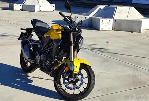 Honda CB300R, 6/2023, kúp v SR. - 15