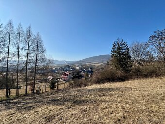 Farmárska usadlosť v obci Becherov, okr. Bardejov - 15