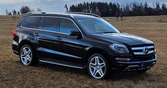 Mercedes GL350 190kw x166 - 15