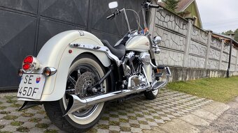 Harley Davidson Softail 110” - 15