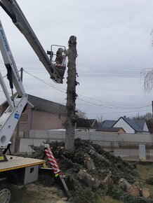 Pílenie stromov záhradníckej služby - 15