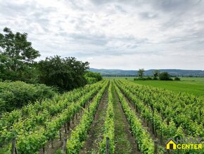 NA PREDAJ RODINNÉ VINÁRSTVO S KOMPLETNÝM ZARIADENÍM A VINICO - 15