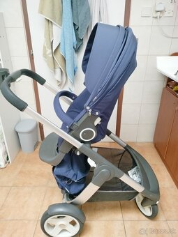 Stokke cruzi - 15