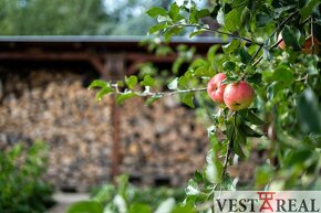 Na predaj novostavba rodinného domu, Bohdanovce nad Trnavou - 15