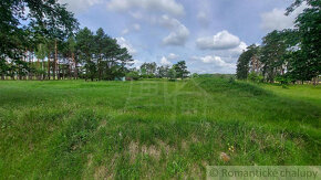 Lesný pozemok 37 000 m2 - 3,7 ha v obci Borský Mikuláš, 60 - 15