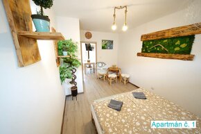 CHATA s 3 apartmánmi - zabehnutý BOOKING - Šírava, Vinné - 15