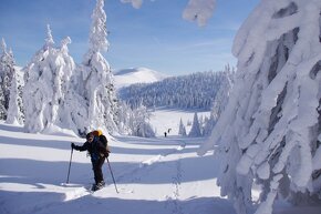 prenajom drevenice/chalupy v Blatnici, Velka Fatra - 15