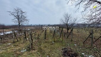 HALO reality - Predaj, záhradná chata Farná - EXKLUZÍVNE HAL - 15