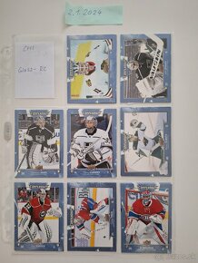 Hokejové karty - brankári COMPENDIUM BLUE - 15
