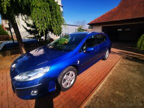 Peugeot 407SW - 15