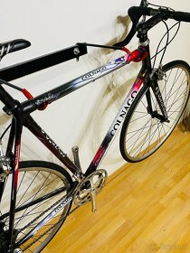 Colnago C40 Art Decor (AD11) - 15