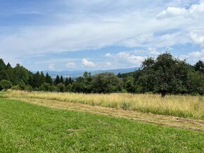 Chalupa na veľkom pozemku - Sklené, okr. Turč. Teplice - 15