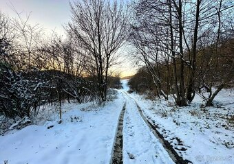 Pozemok DOHŇANY, časť ZBORA- cca. 6km od mesta PÚCHOV - 15