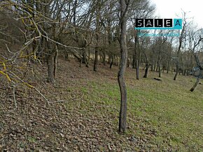 Chalupa s veľkým pozemkom v obci Podkylava o výmere 8.852 m2 - 15