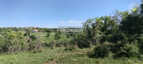 HALO reality - Predaj, rekreačný pozemok Krupina, iba 7 €/m2 - 15