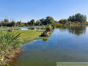 Veľký pozemok so starším rodinným domom v obci Martovce - 15