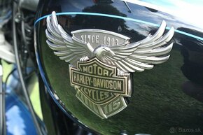 Harley Davidson FLSTF / Fat Boy 114 ANNIVERSARY V - 15