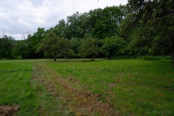 Veľký rodinný dom v nádhernej obci Cetuna, 2970 m2 na predaj - 15