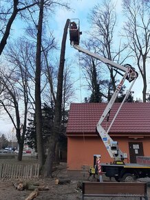 Rizikové pilenie stromov arboristika - 15