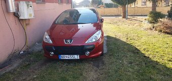 Peugeot 307cc - 15