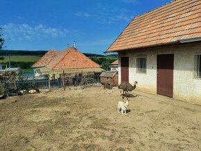 Predáme rodinný dom v Čake - 16