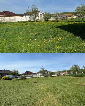 OREZÁVANIE A STRIHANIE OVOCNÝCH STROMOV - KOŠICE - 16