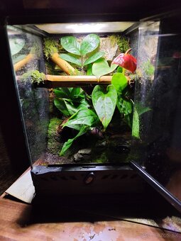 Terarium Exo terra - 16